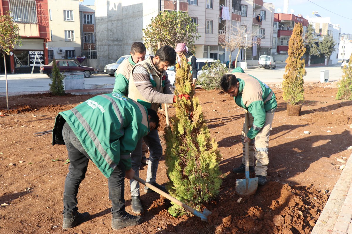 haliliye_bld's tweet photo. Daha Yeşil Bir Haliliye İçin Çalışıyoruz🌲

📌Parklarımızda fidanları toprakla buluşturmaya devam ediyoruz.🌲 🌿☘️

@mcanpolatnet https://t.co/9kXncS4jyE