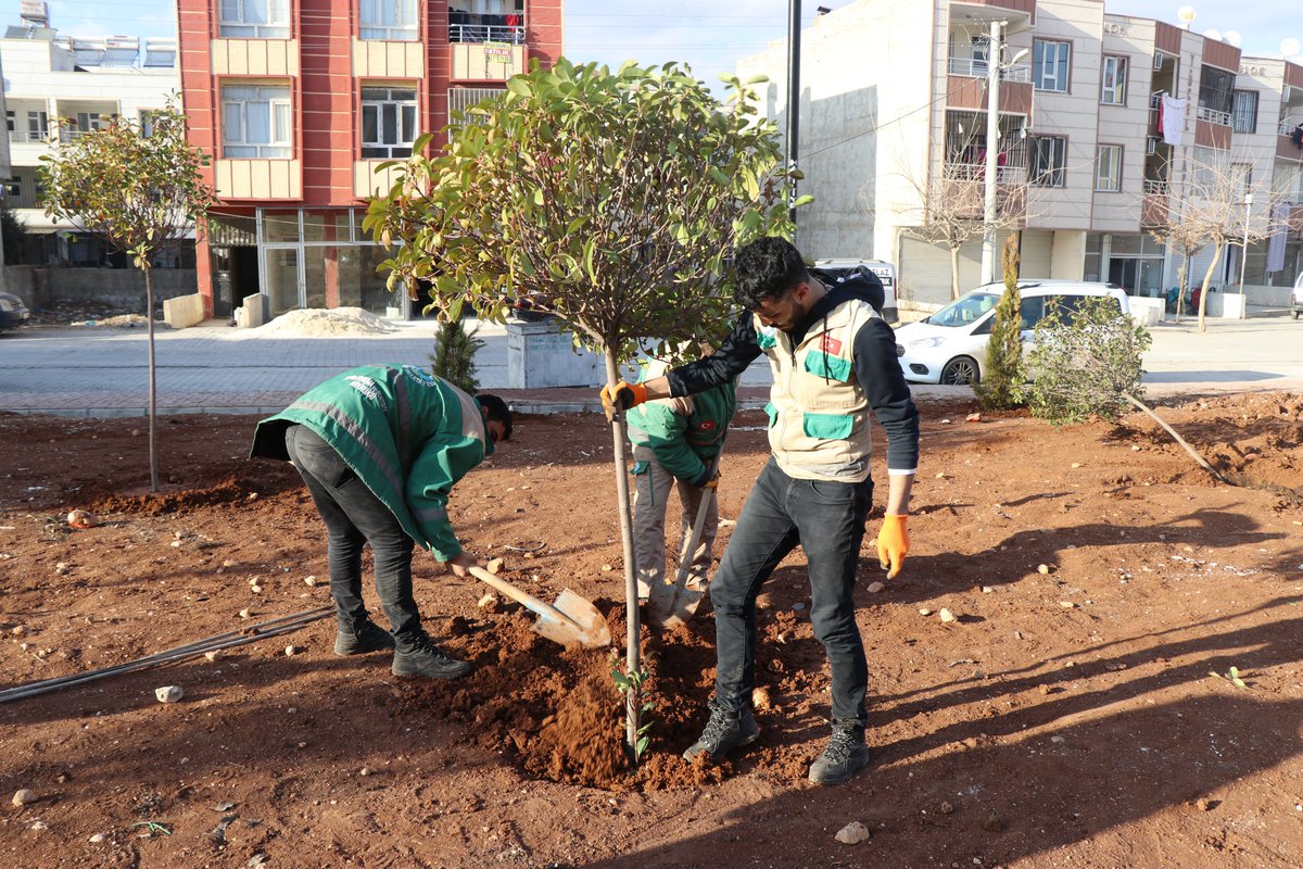 haliliye_bld's tweet photo. Daha Yeşil Bir Haliliye İçin Çalışıyoruz🌲

📌Parklarımızda fidanları toprakla buluşturmaya devam ediyoruz.🌲 🌿☘️

@mcanpolatnet https://t.co/9kXncS4jyE