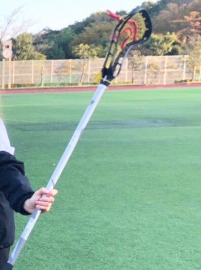 ストローク しないでください 画面 ラクロス ゴール サイズ メイン 器用 カウンターパート