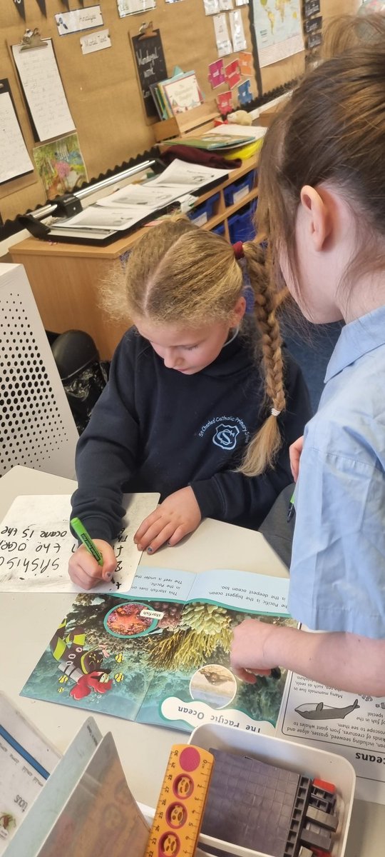CharlesPrimary2's tweet photo. This afternoon we have been researching big habitats. #StChScience https://t.co/ipOh0oMuhN