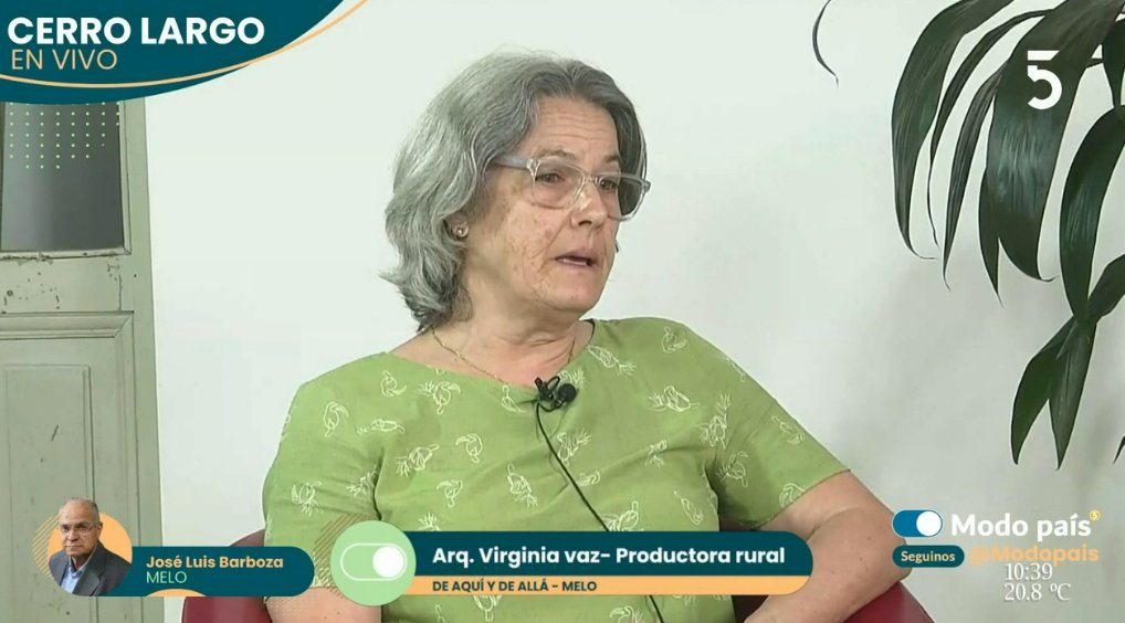 Modo País (@modopais) on Twitter photo 🗣️ Tomamos contacto con #CerroLargo para hablar con Virginia Vaz, productora rural e integrante de Un Solo Uruguay - <a href="/canal5uruguay/">Canal 5 Uruguay</a> y #CardinalTV 🗣️ Tomamos contacto con #CerroLargo para hablar con Virginia Vaz, productora rural e integrante de Un Solo Uruguay - <a href="/canal5uruguay/">Canal 5 Uruguay</a> y #CardinalTV