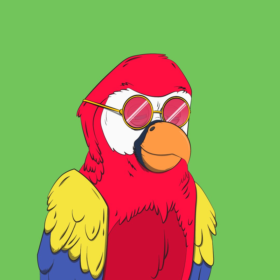 Bored Macaw Sol Club tweet media