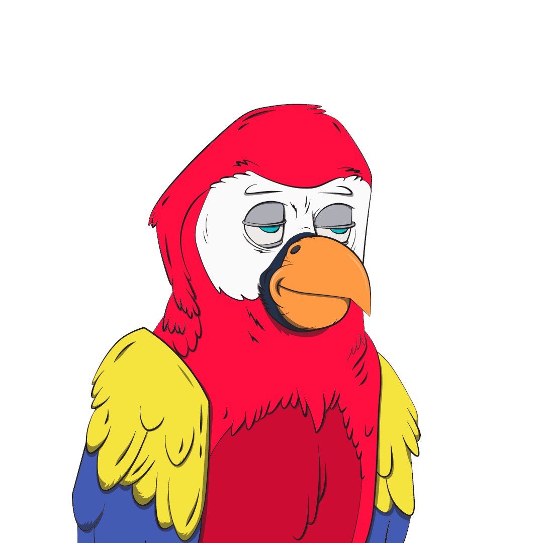 Bored Macaw Sol Club tweet media