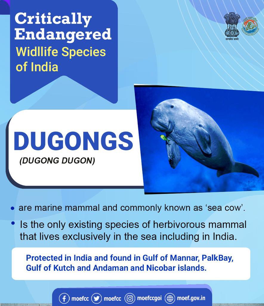 moefcc's tweet photo. #CareToProtect https://t.co/0N4QBob9mO