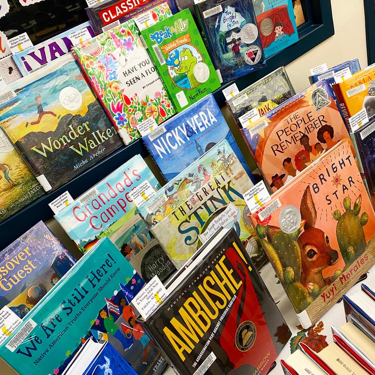 Drum roll, please!! 🥁Introducing this year’s award-winning and honors picture books, nonfiction titles, middle grade fiction, and YA books! 🎉🥇 Which one will you read first? #cmc #mustreads #bestofthebest