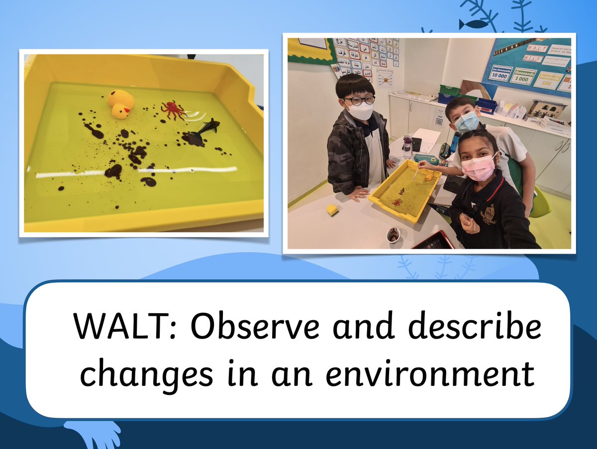 MrMartinRAD's tweet photo. We kicked off STEAM Week with a very interesting investigation into the effects of crude oil on an ocean habitat. We also tested which materials are the most effective for removing it. Good job, Spongebob! @ReptonADYr4 @ReptonADScience https://t.co/nxDEqpNlf0
