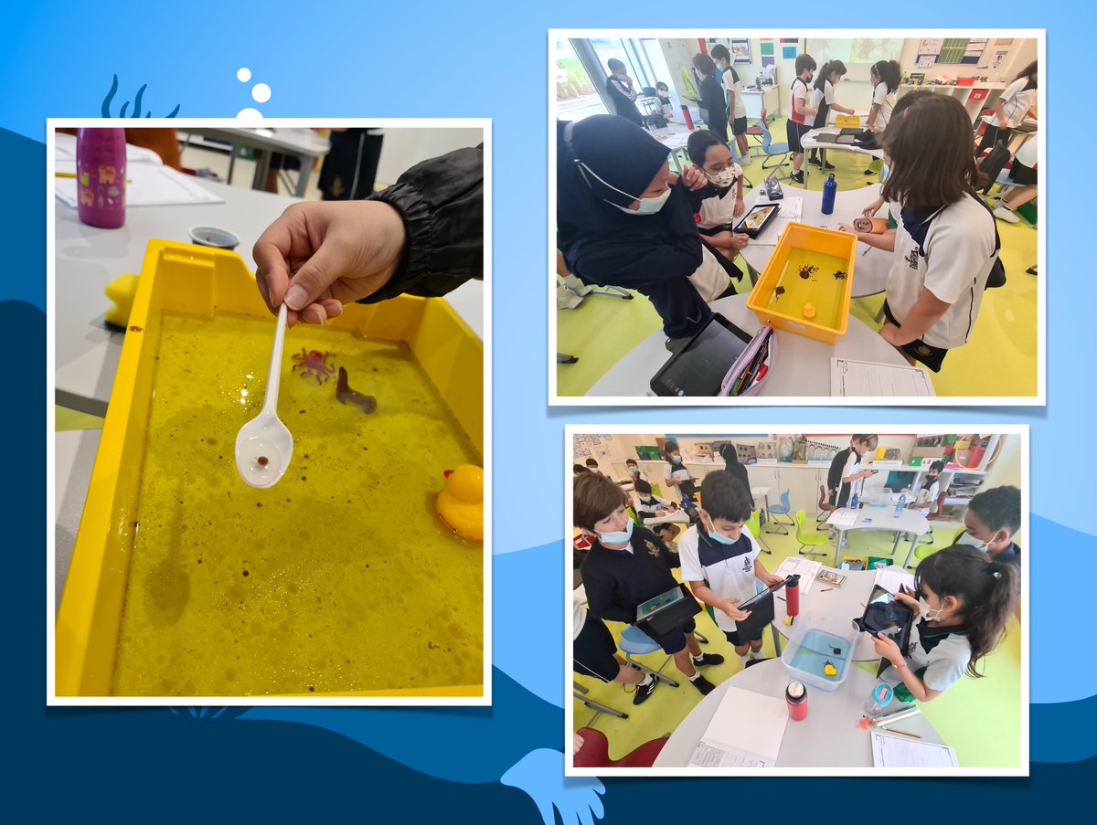 MrMartinRAD's tweet photo. We kicked off STEAM Week with a very interesting investigation into the effects of crude oil on an ocean habitat. We also tested which materials are the most effective for removing it. Good job, Spongebob! @ReptonADYr4 @ReptonADScience https://t.co/nxDEqpNlf0