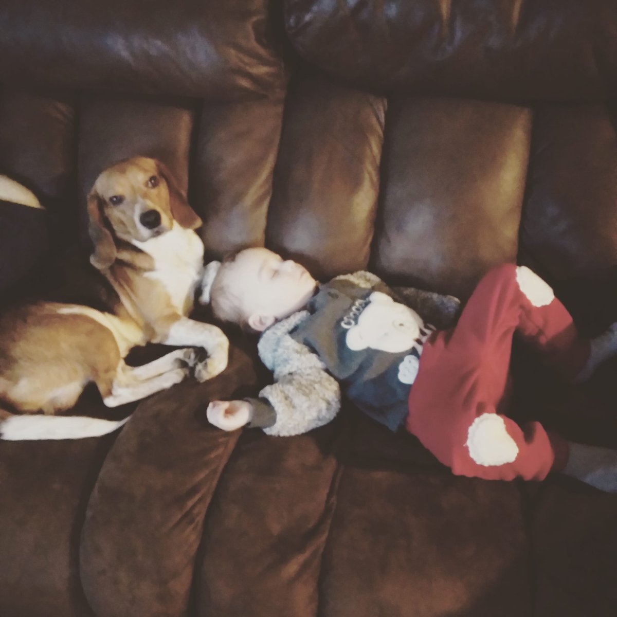 When my little comes to visit