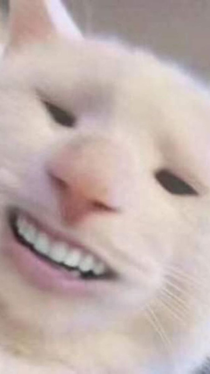 Кот улыбается мем с зубами. Мем кот улыбается с зубами. Кот с зубами мем. Кошка с человеческими зубами. Мем кот улыбается с зубами.