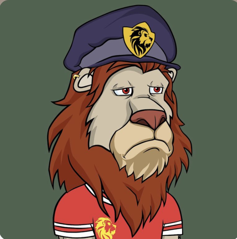 Brilliant Dolt 🦁 tweet media