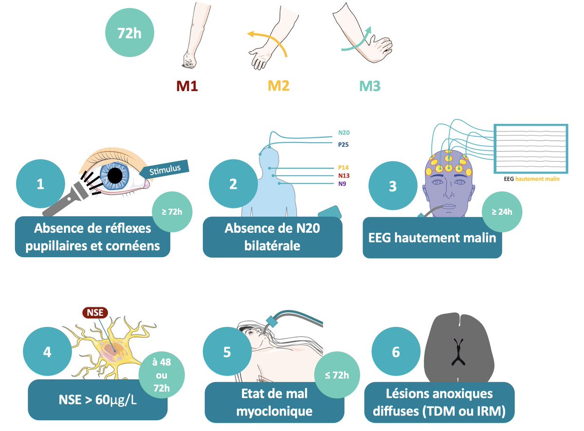 [Neuropronostic post-ACR] - Neurologies 🧠

Retrouvez notre dossier sur le neuropronostic post-arrêt cardiaque dans le nouveau numéro de <a href="/NeurologiesFr/">NEUROLOGIES.fr</a> !
neurologies.fr/neuropronostic…