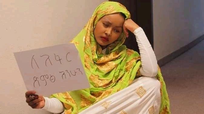 ሁላችንም በእዚህ መልኩ ድምፃችንን ለ #አፋር ማሰማት አለብን