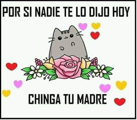lexavyer's tweet photo. Los QM! https://t.co/JFPNCsH2BL