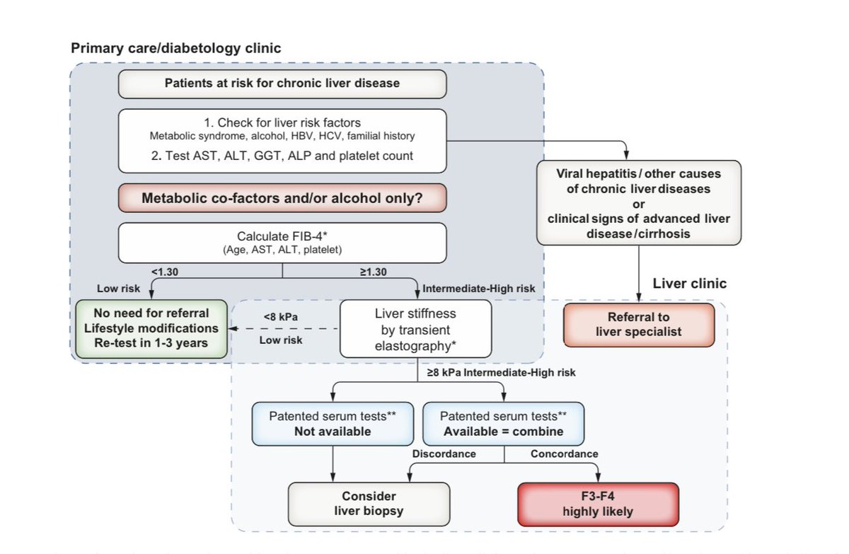 CristobMorales's tweet image. id.elsevier.com/ACW/?return=ht… MAFLD o Enfermedad Hepática Metabólica una epidemia oculta en nuestras consultas, una enfermedad sistémica que requiere un abordaje holístico y multidisciplinar @sepdigestiva @mromerogomez @Dr_ACaballero_ @Dr_Ampuero @fjavesc @DrTinahones @amarcomar