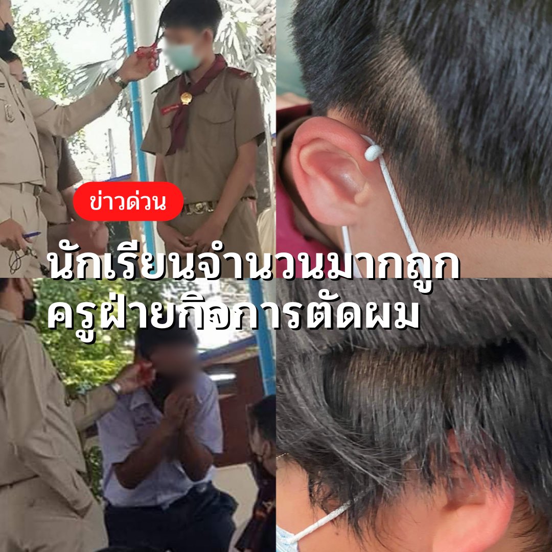 Udonpit Liberate tweet media