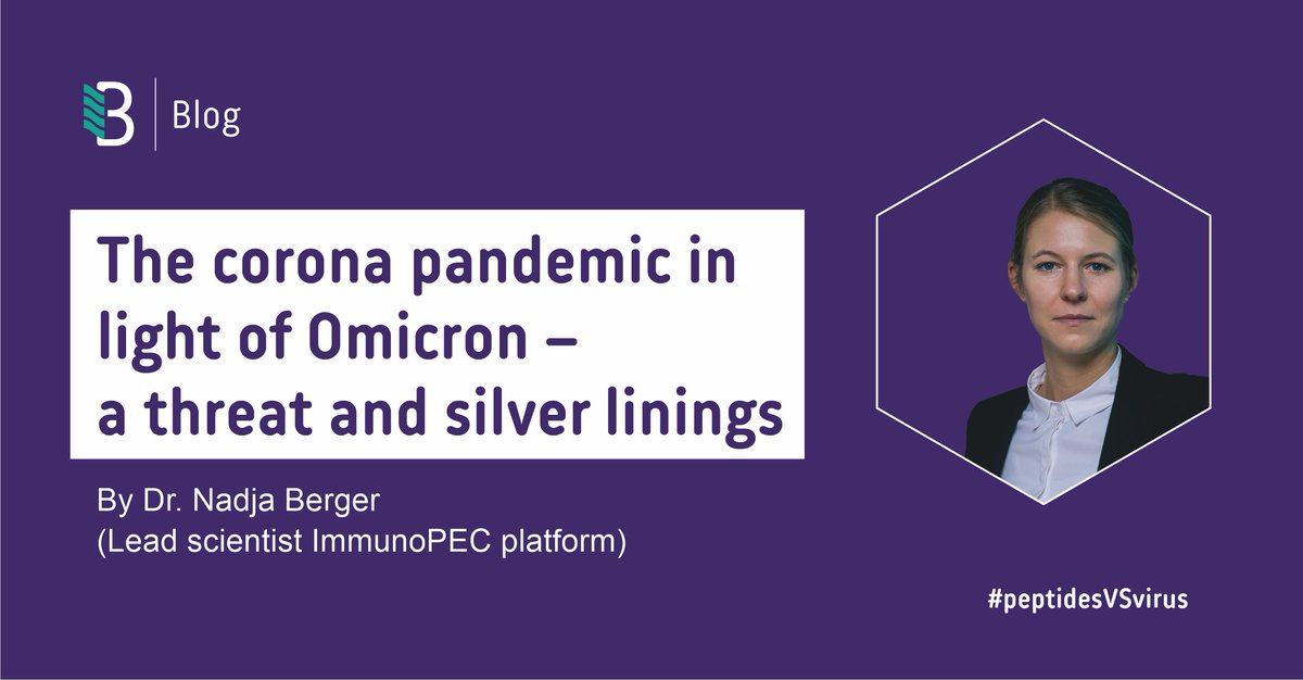 Belyntic tweet media