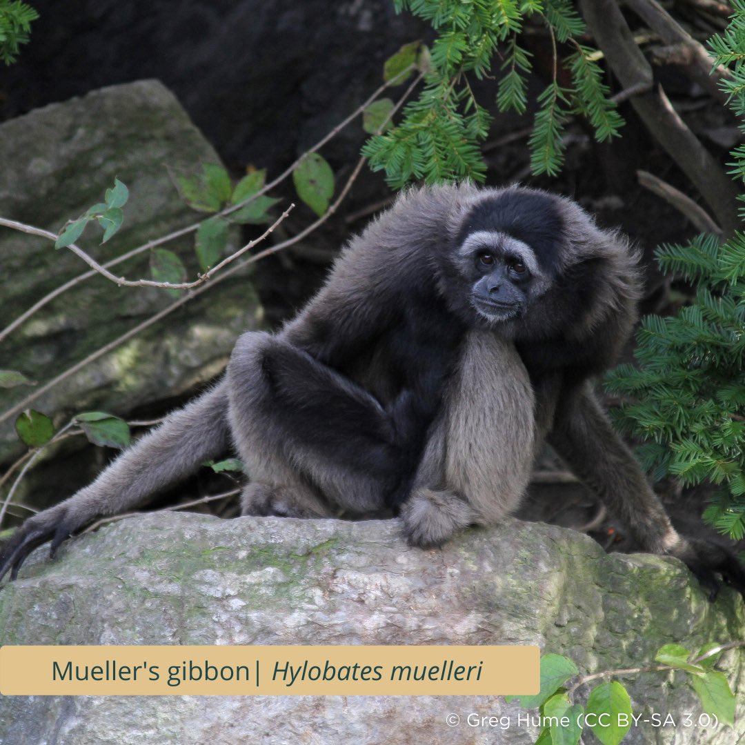 TheHabitatFoundation tweet media