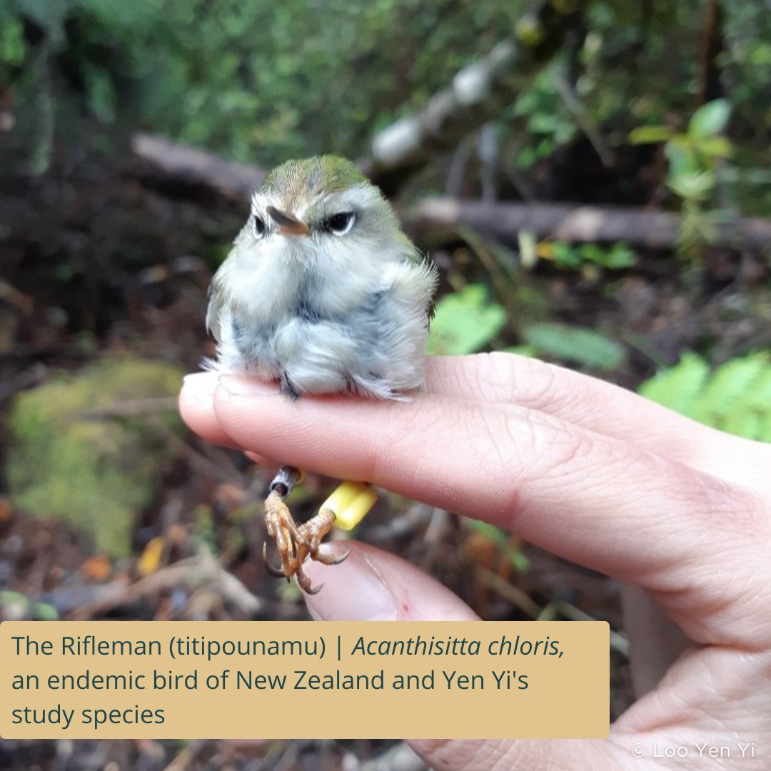 TheHabitatFoundation tweet media