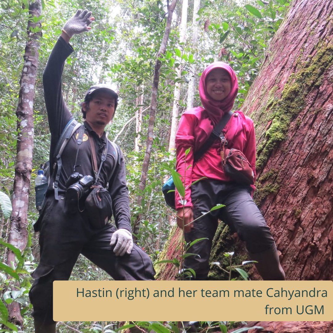 TheHabitatFoundation tweet media