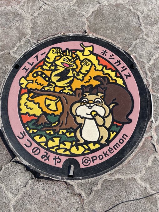 北関東初設置!宇都宮のポケふた全3種見て参りました。宇都宮は雷が多い街⚡️ということで電気系ポケモンがラインナップ。 