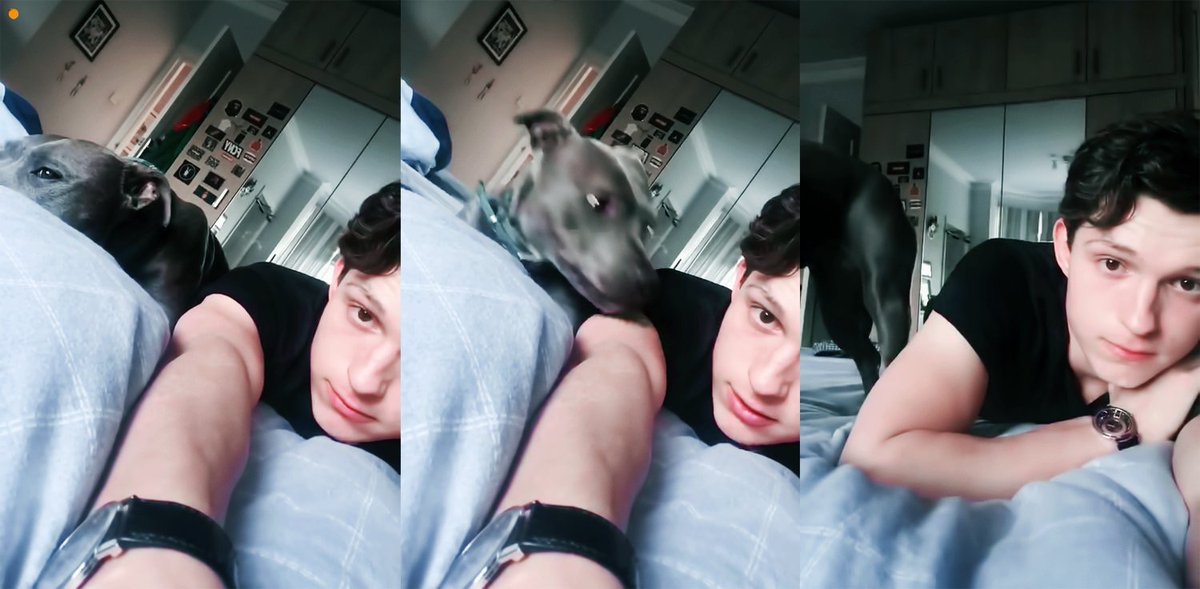 ㅜㅠㅜㅜㅜㅜㅜㅜ너무 애기처럼 나왔다
===========🕸
리듬게임
아이맥스
데이식스
리듬하이브
아크릴 키링
간접흡연
물라샤드
아이시테
콘서트 공지