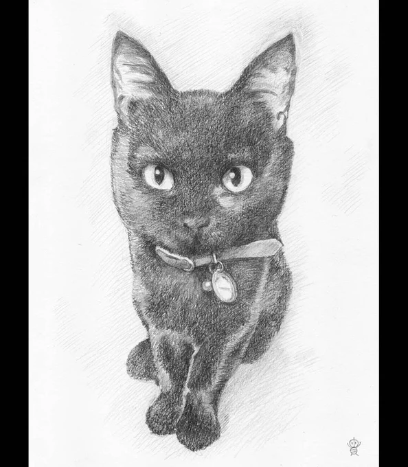 #ココナラ でご注文いただいた似顔絵、お客様に許可いただいてアップ!✍️😊
リピーターになってくださってるお客様から、愛猫の黒猫ちゃんのご注文♪🐱
おめめと揃えたおててが可愛さポイント💕
#似顔絵 #鉛筆画 #猫 #絵描きさんと繋がりたい 
https://t.co/OTPztdAVFM 