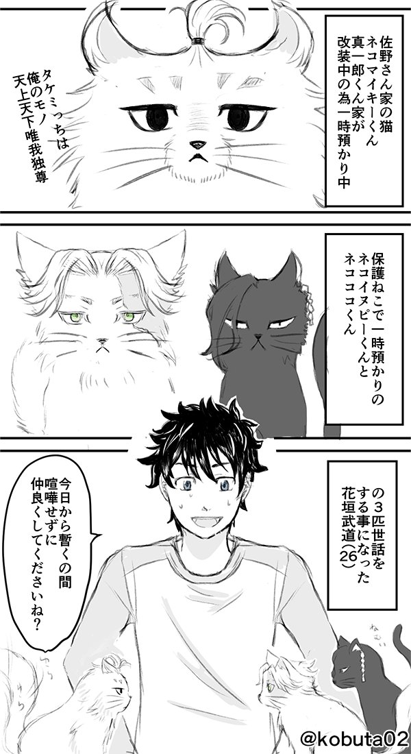 (マイネコ化)
マイタケ🌾🎋、イヌ→タケ🐶🎋要素あり
ネコマイ達を預かった日常
(平和軸なので真が生きてます) 