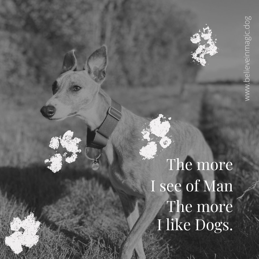 believeinmagicd's tweet photo. The more I see of man, the more I like dogs. 

My job is mainly about supporting and sharing my knowledge with humans, but the joy comes from seeing the lives of dogs changing. 

What are your thoughts? https://t.co/QE88bENTJX