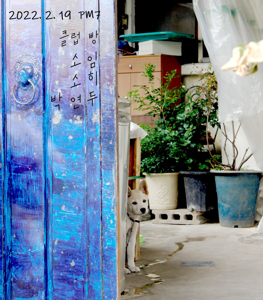 소히sorri (@dolphinsoi) on Twitter photo 