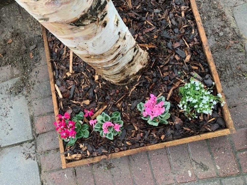 NewhamLondon's tweet photo. Keep an eye out for the tree pits Forest Gate residents have taken over to spruce up with spring bulbs, which will brighten up the streets and deter littering once they’re in full bloom. Another fantastic idea from our Community Assemblies come to life! #PeoplePowerProjects https://t.co/GznzoT5u7z
