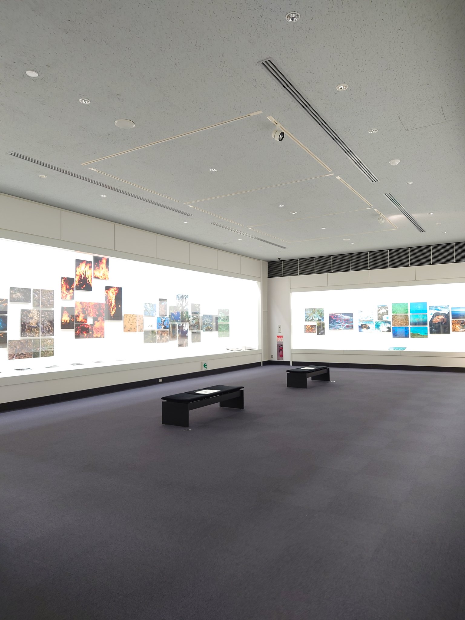 Lady Grey ヴィヴィアン 葡萄の花のランチとデザート リンゴのパウンドケーキが絶品 薪ストーブが暖かい 外は２ｍの雪 浦佐 葡萄の花 薪ストーブ 豪雪 T Co 9oheo35axg Twitter