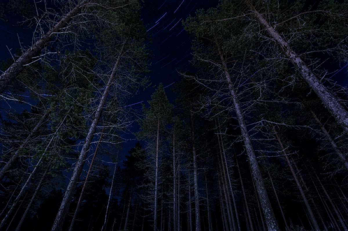 Night time in Lapland #photoart #photography