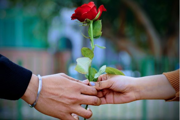 बहुत सोचा और फिर रहने दिया,
मैं गुलाब को गुलाब क्या देता..!!