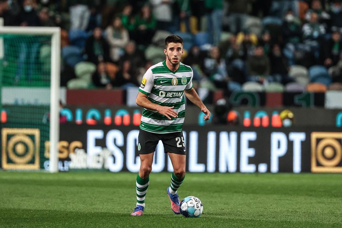 Goncaloinacio25's tweet photo. 💚 https://t.co/f7LkX401F1