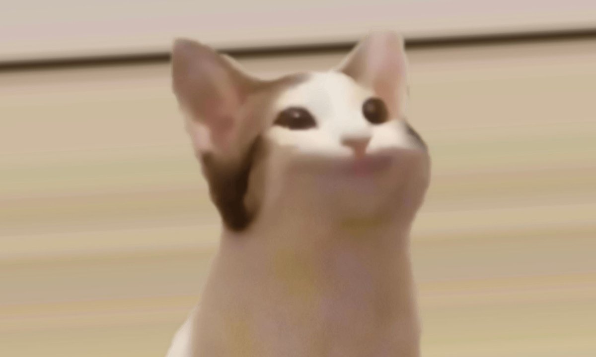 I need Bobux tweet media