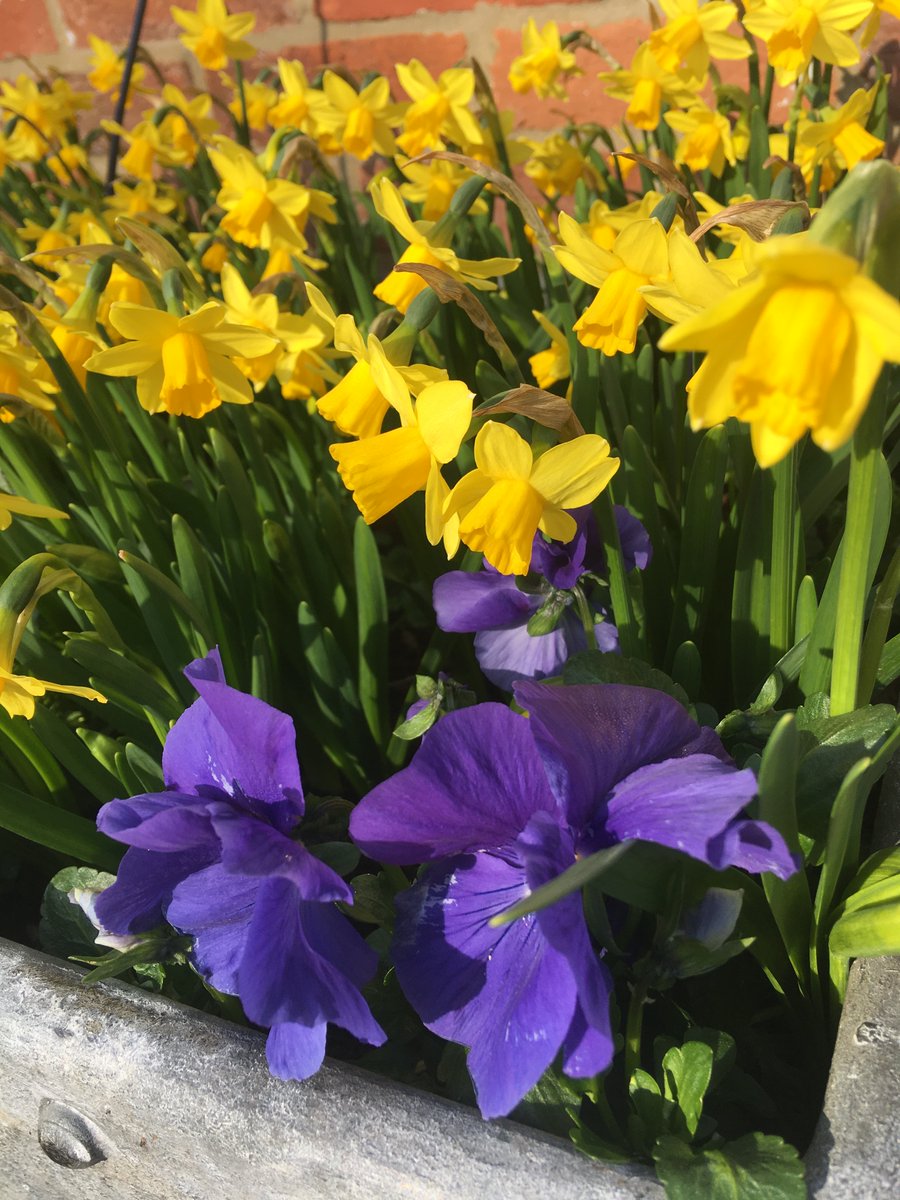 Mother's Day isn't far away
(Sunday March 27th)
We are now taking bookings, please don't leave it until the last few days, we hate to disappoint anyone.