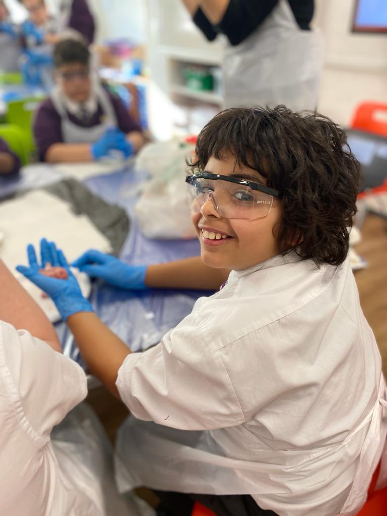 HPA_Philip_Lane's tweet image. Year 6 enjoyed an incredible experience during their science lesson with Miss Sheikh-Bahai - they dissected sheep&apos;s organs.  The children were able to feel the tissues and see the inner workings of a heart, brain and liver. @BahaiShirin #HPAPLScientists @HarrisFed