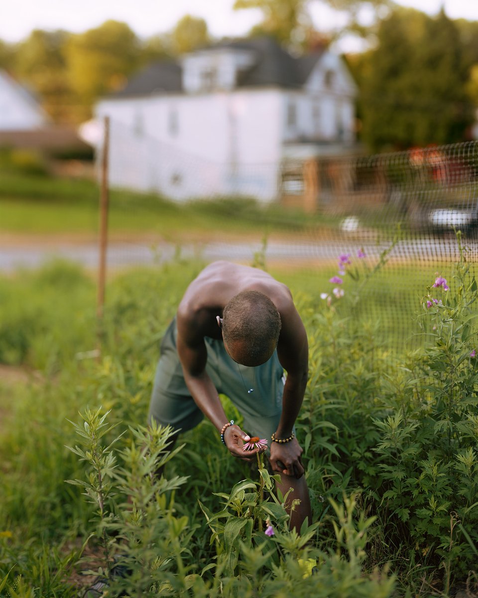 fotografiait's tweet photo. Libri: Alec Soth 'A pound of pictures' un viaggio tra ciò che divide gli Stati Uniti ripercorrendo la strada fatta dal feretro di Abramo Lincoln, ma poi arrivate la pandemia, nel maggio 2020 George Floyd viene ucciso e l’idea iniziale non basta più
https://t.co/ImVfG7kGRO https://t.co/KJBlnDbnS4