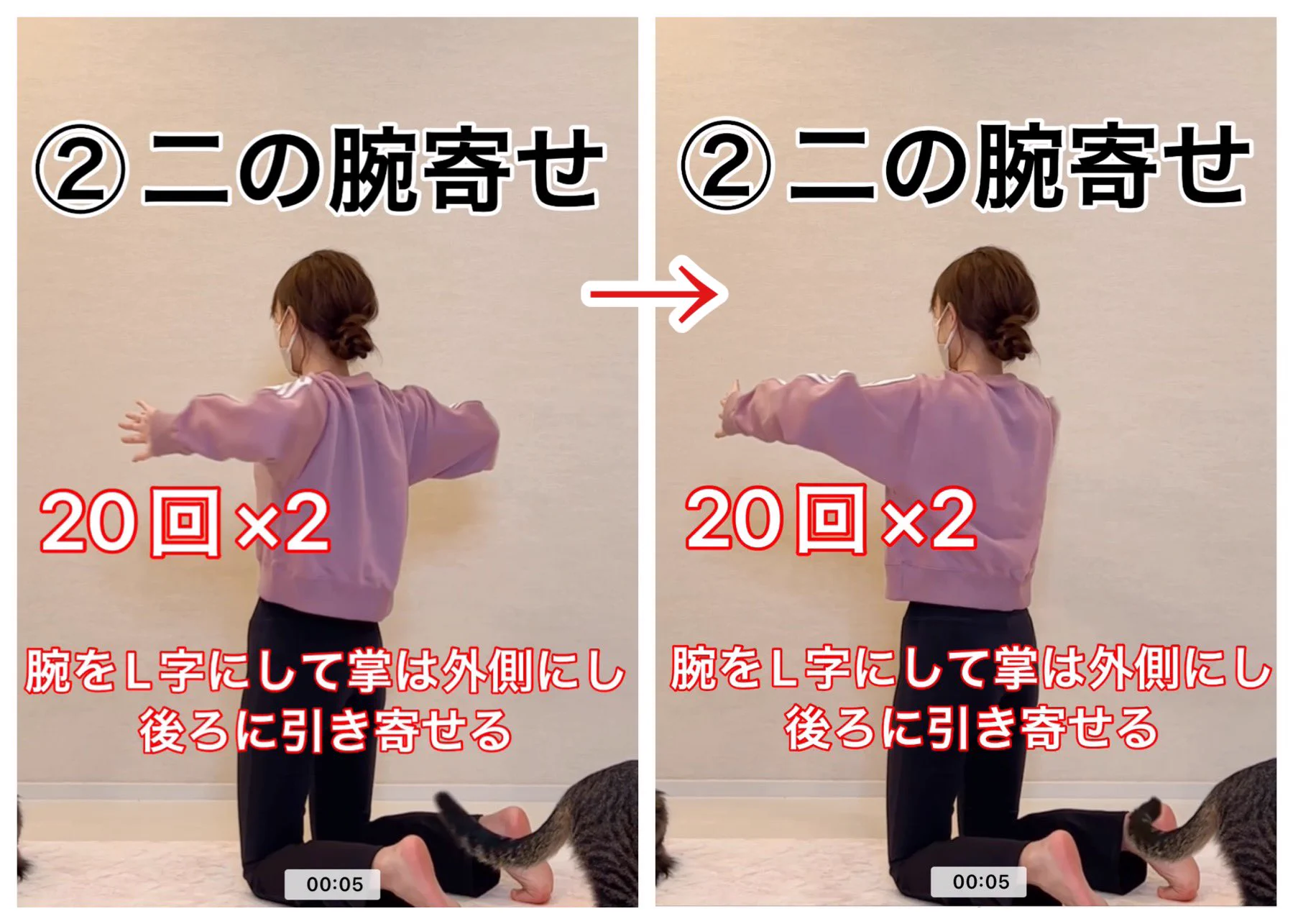 腕立て伏せが苦手な方必見！肩や肩甲骨をしっかり動かして痩せやすい体づくりを！