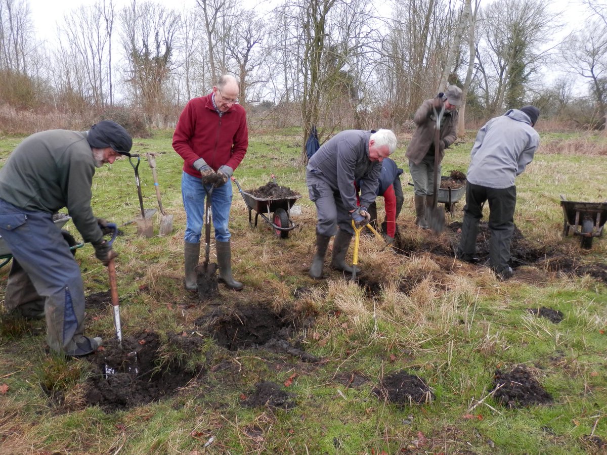 LOHProject's tweet photo. To celebrate #Worldwetlandsday on 2nd February, the Practical Conservation Volunteers dug a pond on New Fen - water was found just below the surface.
The pond will be at the edge of the Wildflower Walk round the fen.  Well done to all the Volunteers!
Photos by Ellie Beach https://t.co/moQY94joBJ