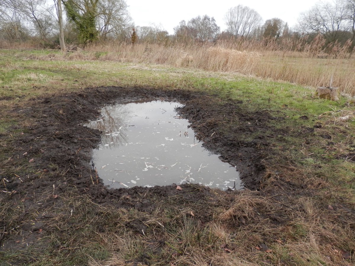 LOHProject's tweet photo. To celebrate #Worldwetlandsday on 2nd February, the Practical Conservation Volunteers dug a pond on New Fen - water was found just below the surface.
The pond will be at the edge of the Wildflower Walk round the fen.  Well done to all the Volunteers!
Photos by Ellie Beach https://t.co/moQY94joBJ