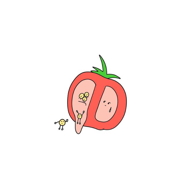 Freeirasutoooさんのイラストまとめ