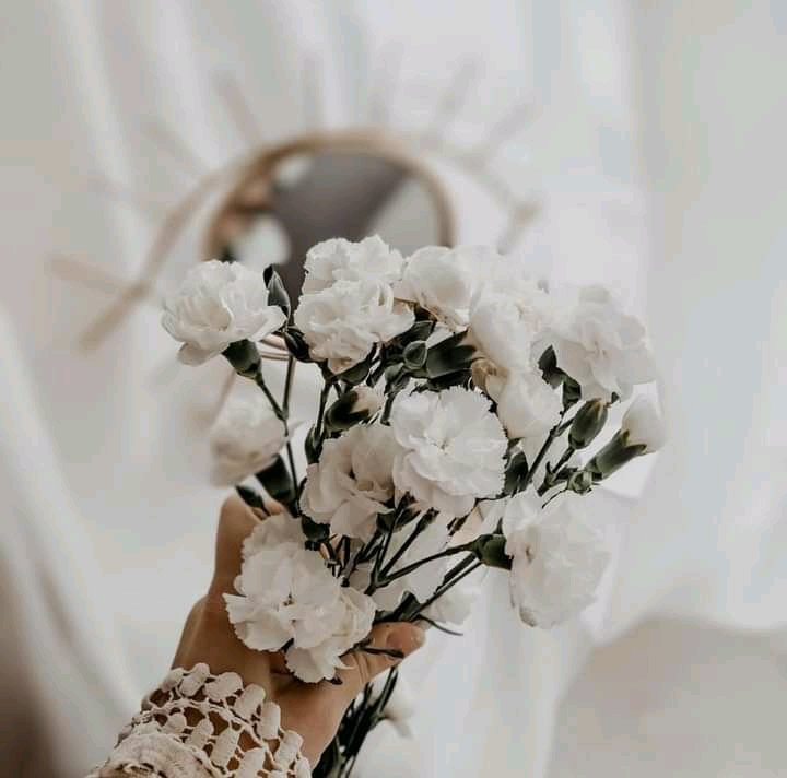 و ما المرء إلا حيث يجعل نفسه
ففي صالح الأعمال نفسك فاجعل 🌾