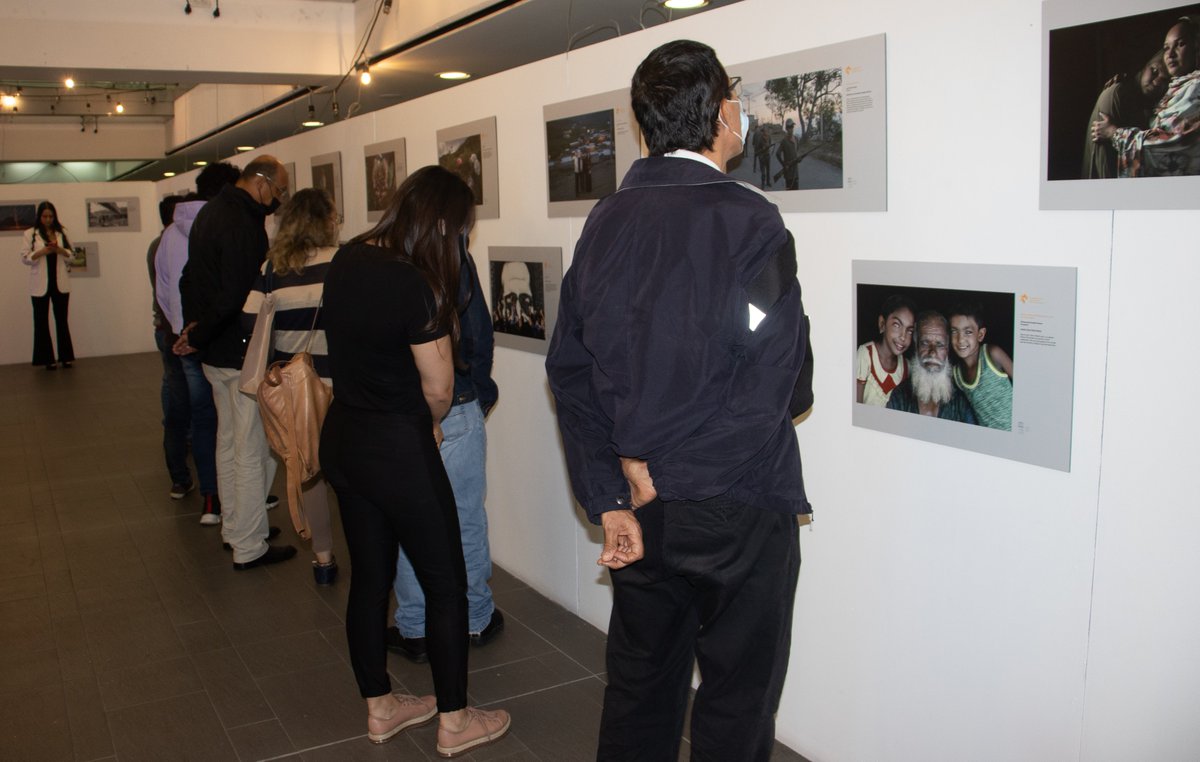 Stenin Contest tweet media