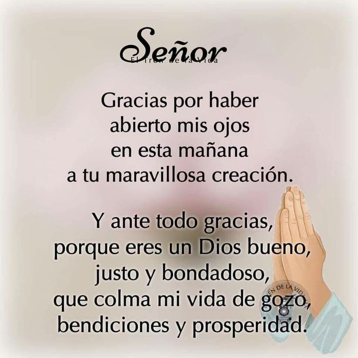BLANCAM_FG's tweet photo. Gracias Dios por un de más!!! #Debendiciones https://t.co/1M6WxVHCnl