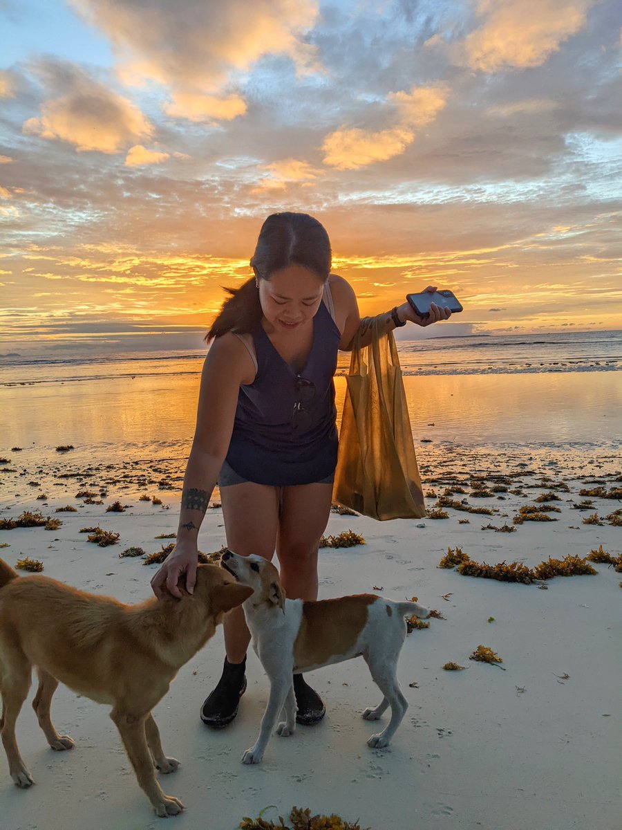 disturbedwater's tweet photo. Met some puppers on the beach in Panglao, Bohol :) https://t.co/2X81BiscSq