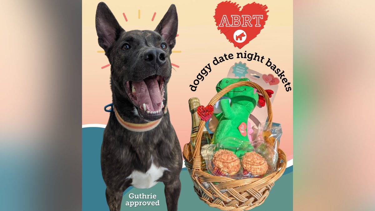 ABRTColorado's tweet photo. Endless romance, decadent desserts, and squeaky toys.

Support local rescue dogs like Guthrie for Valentine’s Day with an ABRT Doggy Date Night basket https://t.co/jtmLuhKcd0 https://t.co/gIcjnsQ8nP
