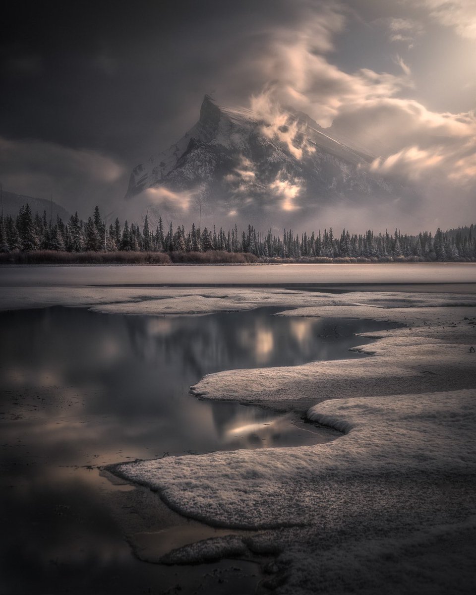 Sienna_2g's tweet photo. #NaturePhotography https://t.co/S3FU9YBMvw