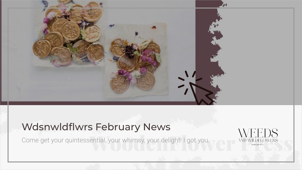 IntrovertlyB's tweet image. Wdsnwldflwrs Feb News - eepurl.com/hT7j3H