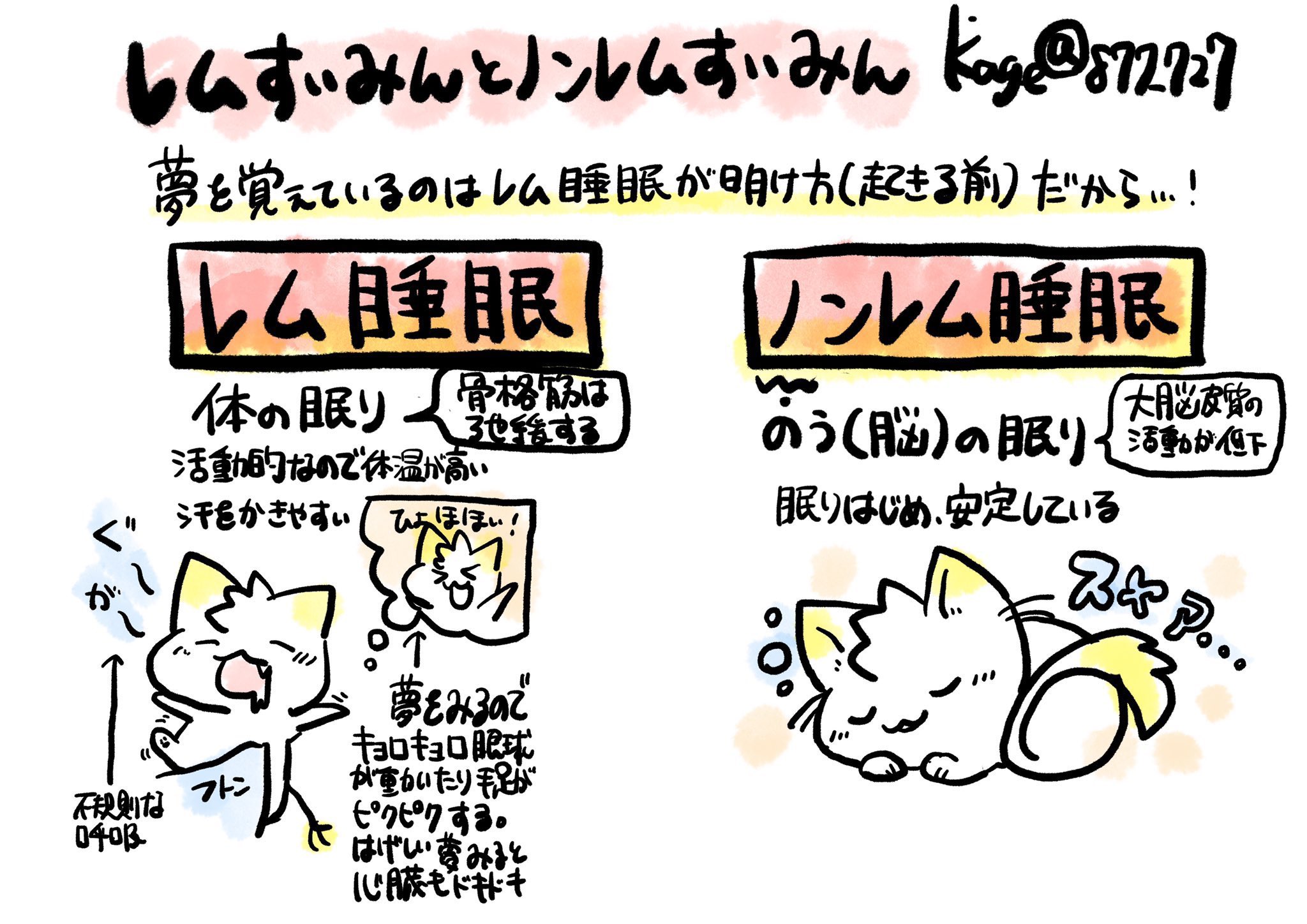 看護師のかげさん イラスト看護帖書籍化 レム睡眠 ノンレム睡眠めも レム睡眠はrapid Eye Movementなので眼球運動を行う 夢を見るから割りと活動的 でも身体の眠りなので大きな筋は完全に弛緩 小さくて速い波のb波 ノンレム睡眠はnon なので 看護師のかげさん イラスト看護帖書籍化 レム睡眠 ノンレム睡眠めも レム睡眠はrapid Eye Movementなので眼球運動を行う 夢を見るから割りと活動的 でも身体の眠りなので大きな筋は完全に弛緩 小さくて速い波のb波 ノンレム睡眠はnon なので